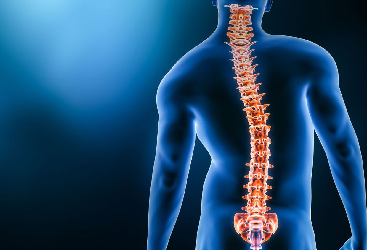 loy-chiro-Scoliosis
